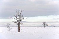 20 - FAGNE BLANCHE - GILSON GUY - belgium <div